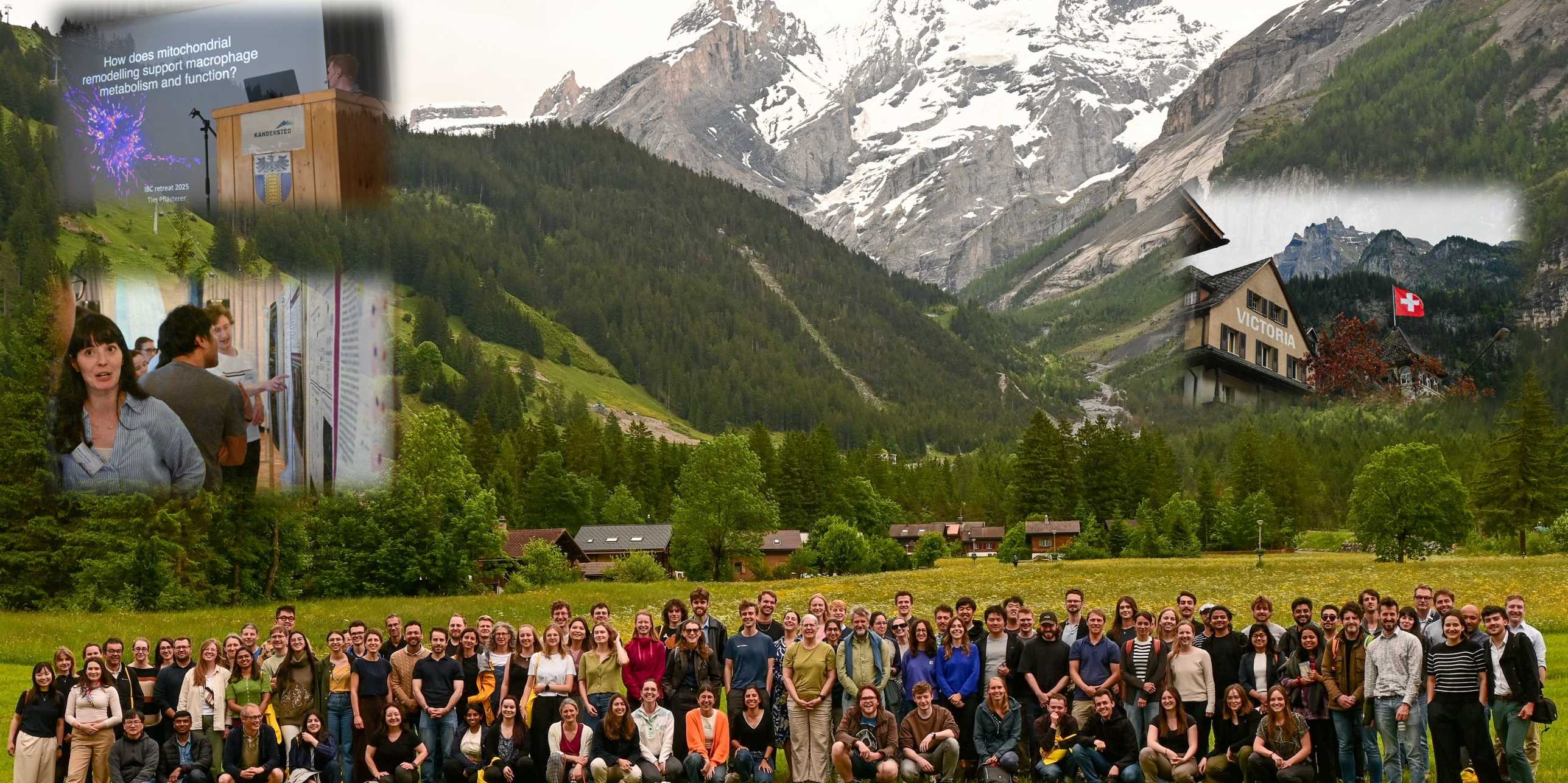 IBC Retreat 2025