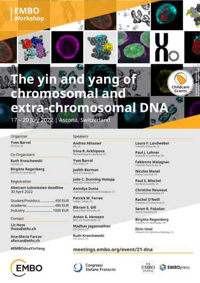 EMBO-Yin Yang DNA 