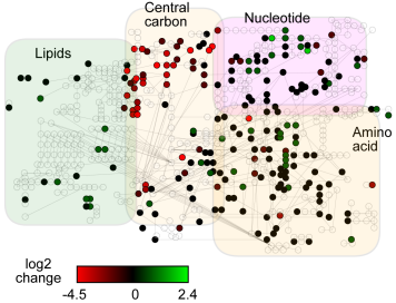 Weber et al