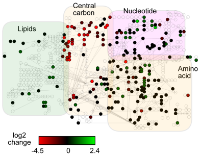 Weber et al.